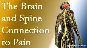 Dr. Hoang's Chiropractic Clinic looks at the connection between the brain and spine in back pain patients to better help them find pain relief.