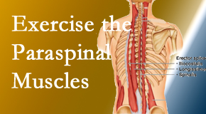 Dr. Hoang's Chiropractic Clinic explains the importance of paraspinal muscles and their strength for Montreal back pain relief.