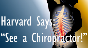Montreal chiropractic for back pain relief urged by Harvard