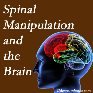 Dr. Hoang's Chiropractic Clinic [shares research on the benefits of spinal manipulation for brain function. 