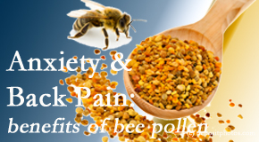 Dr. Hoang's Chiropractic Clinic shares info on the benefits of bee pollen on cognitive function that may be impaired when dealing with back pain.