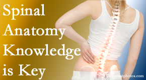 Dr. Hoang's Chiropractic Clinic knows spinal anatomy well – a benefit to everyday chiropractic practice!