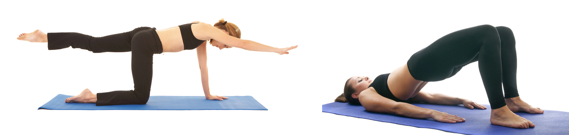Montreal chiropractic exercise to strengthen multifidus 