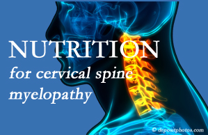 Dr. Hoang's Chiropractic Clinic presents the nutritional factors in cervical spine myelopathy in its development and management.