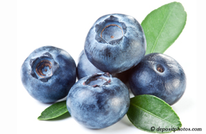 Montreal chiropractic and nutritious blueberries